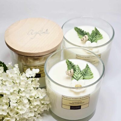 CYTRONELLA – świeca sojowa 530 ml